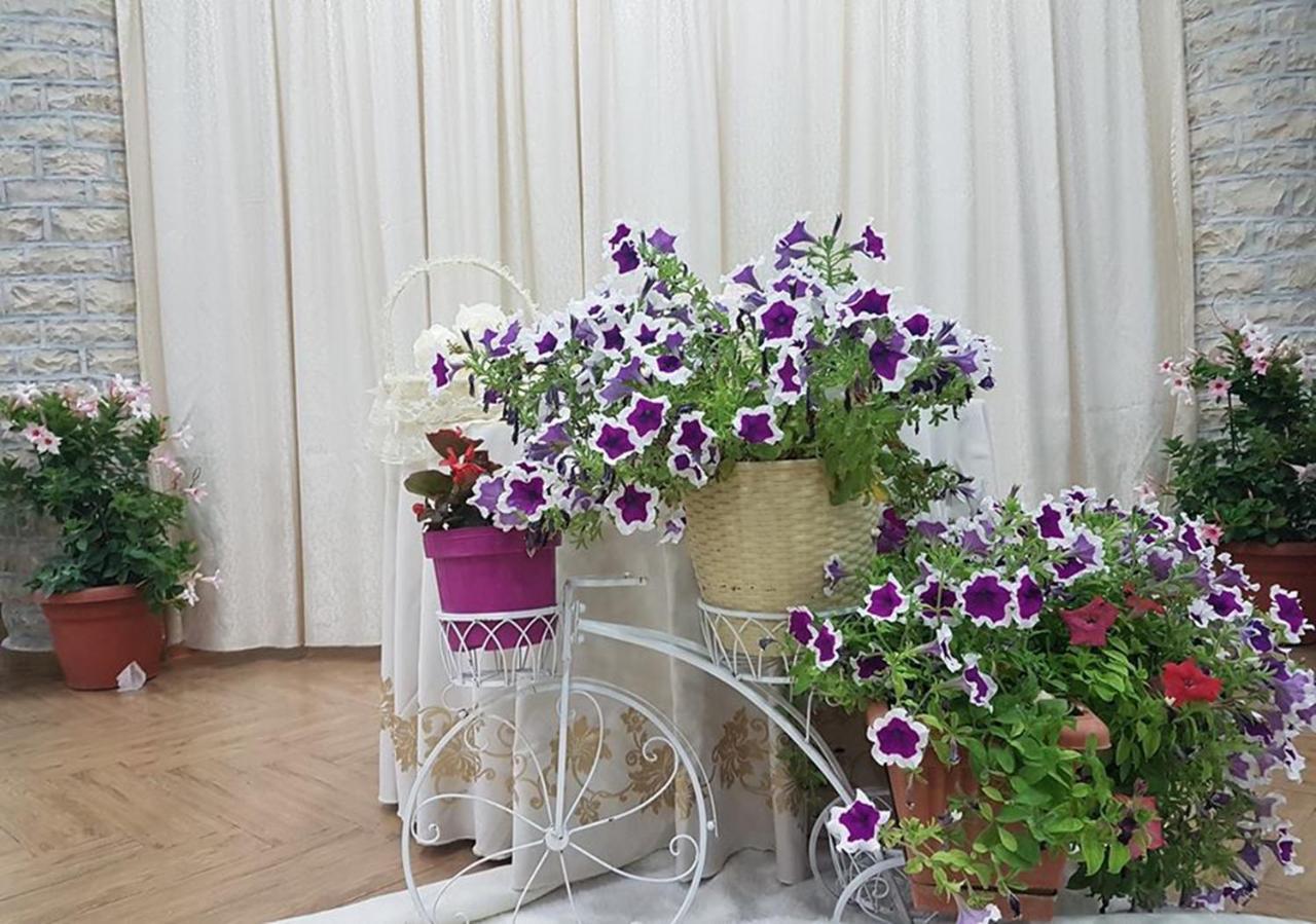 Kt Qato Hotel Bogove Экстерьер фото